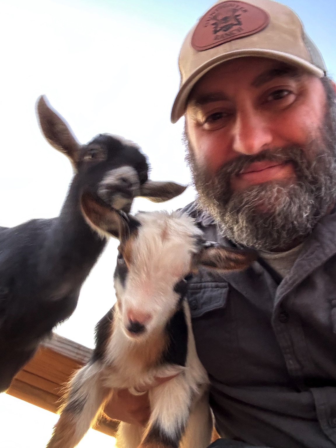 Steve with the goats